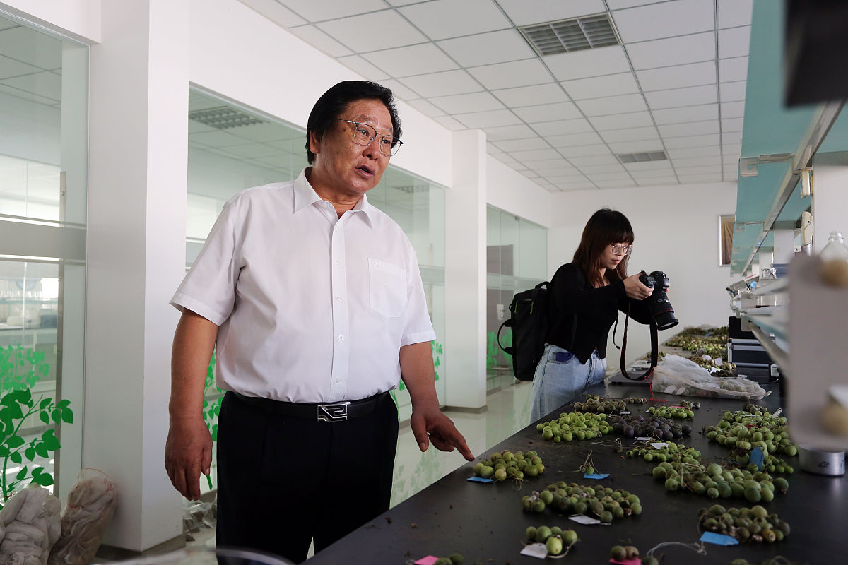 惠州卫生学校2022年招生对象有哪些怎么样