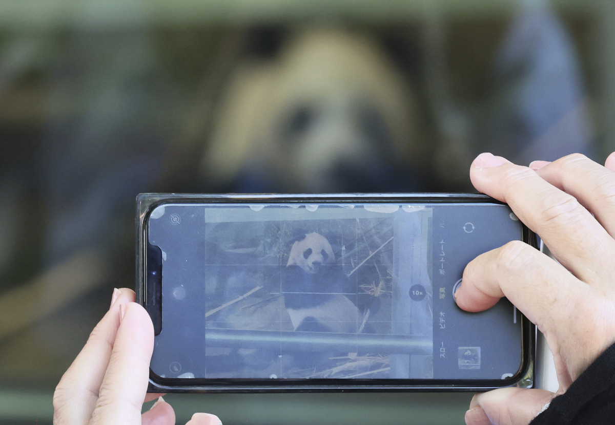 H5 手机摄像头拍照：完整步骤及代码示例