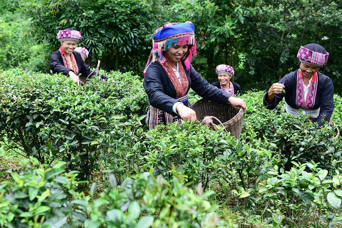 广西经贸职业技术学院餐饮管理与服务专业怎么样？就业前景、师资力量、教学设施全解析
