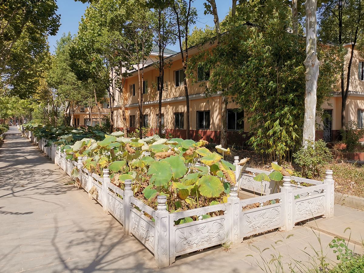 武汉生物工程学院市场营销专业怎么样？ - 深入了解专业优势和发展前景