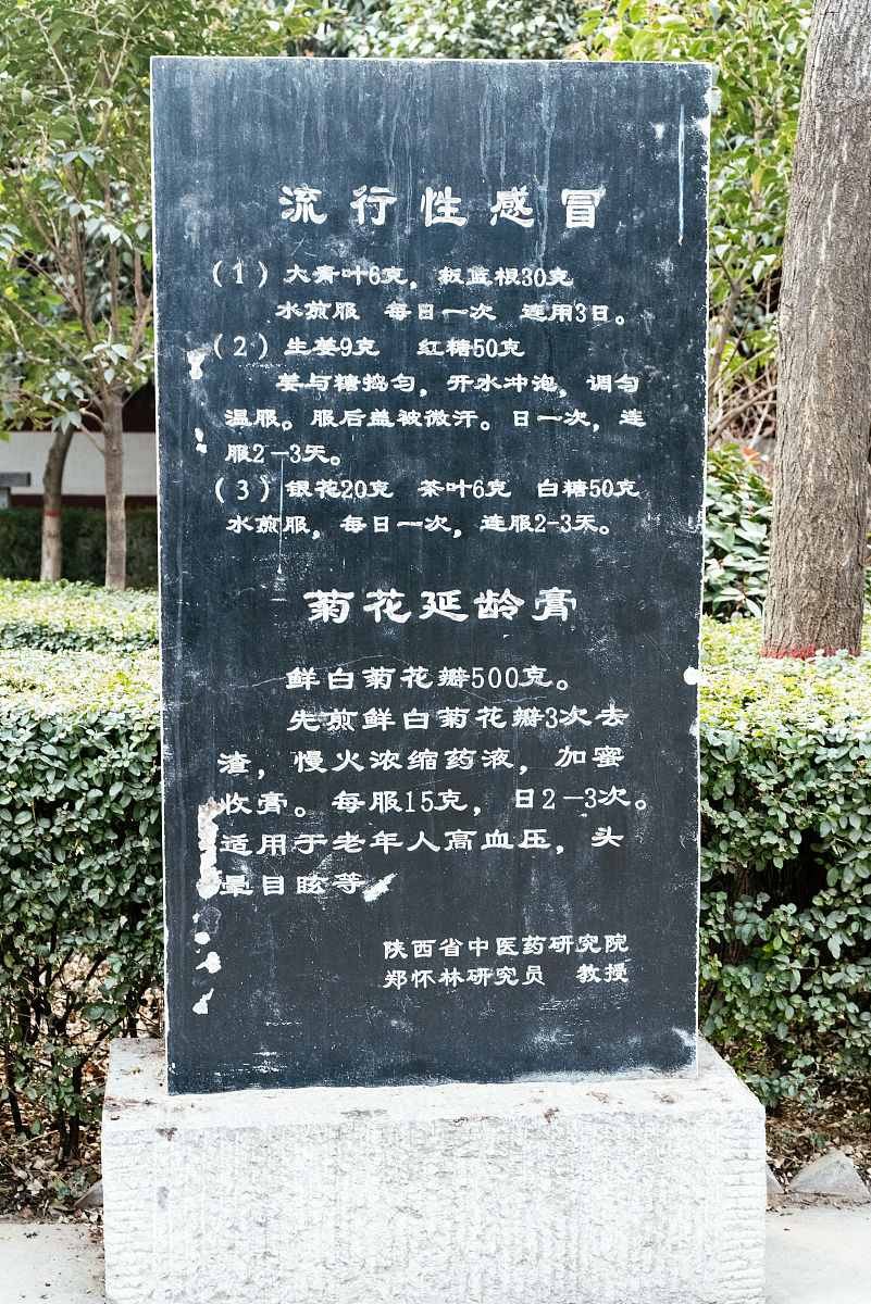 2018年2月18日,西安市临潼区代王街道办事处纸李乡,扁鹊纪念馆图纪.