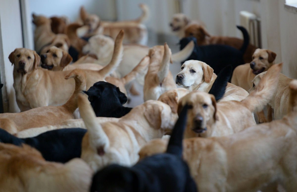 辽宁省属于985和211都有哪些学校