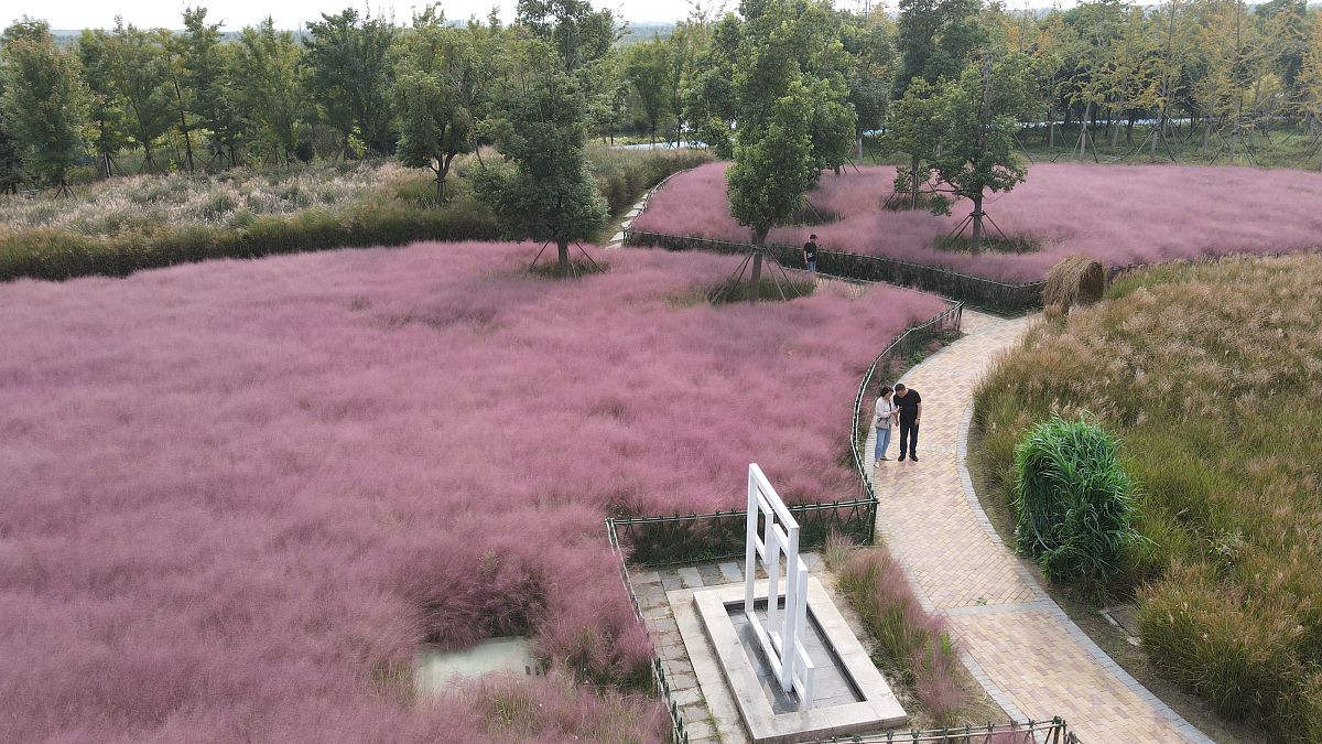 淮安市乡村旅游发展策略研究:现状、问题与未来展望 淮安市乡村旅游发展策略研究:现状、问题与未来展望