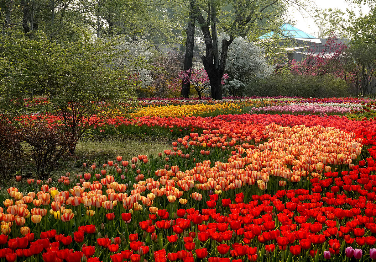 开满鲜花的小路换个题目是什么