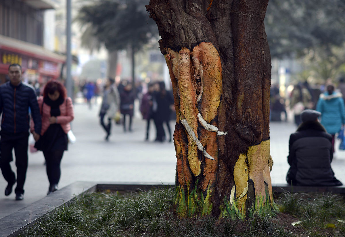 长颈鹿和大象搭桥过河看图写话：友谊与包容的象征