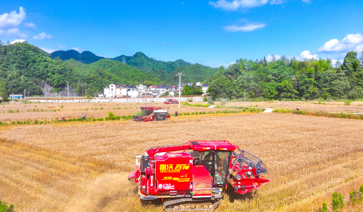 青春耕耘，乡村振兴：学习“中国农民丰收节”致辞有感