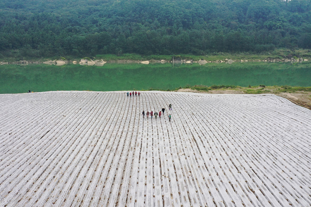 长江中下游地区地膜使用现状及环境影响