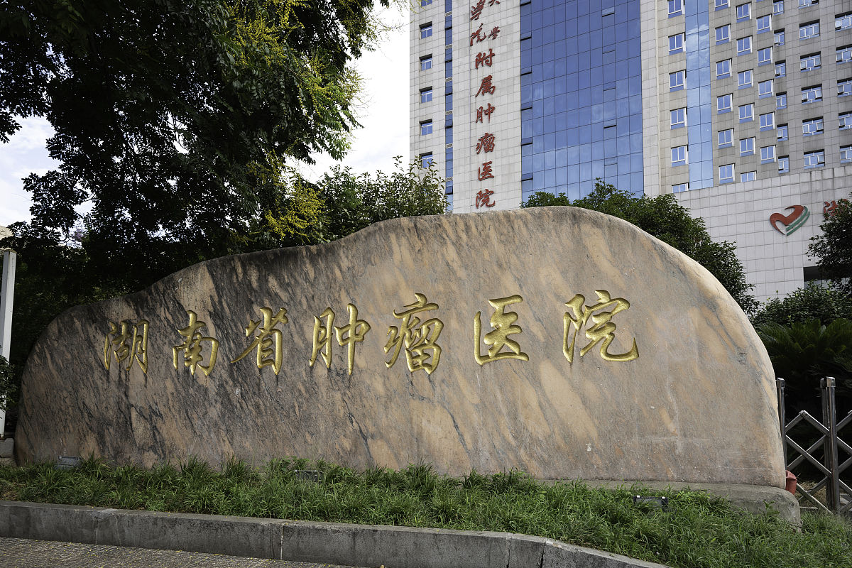 武汉大学精神病学研究水平