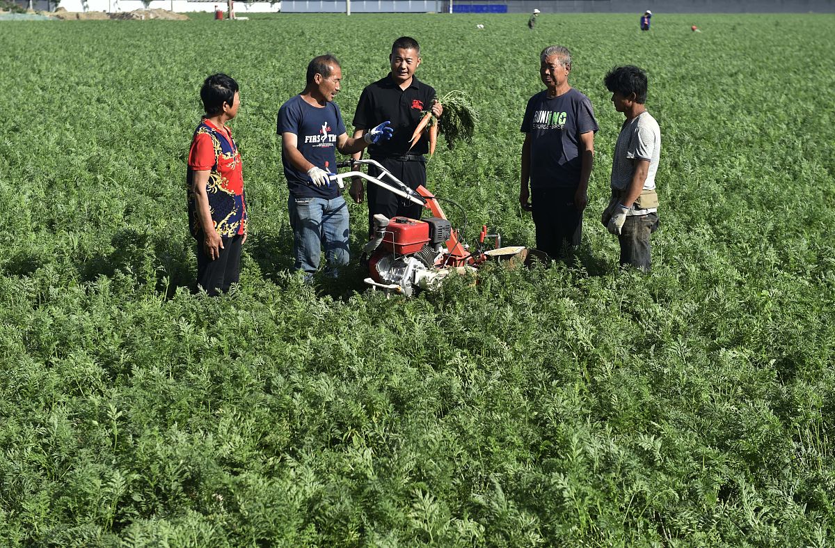 广西农业职业技术学院物流管理专业怎么样