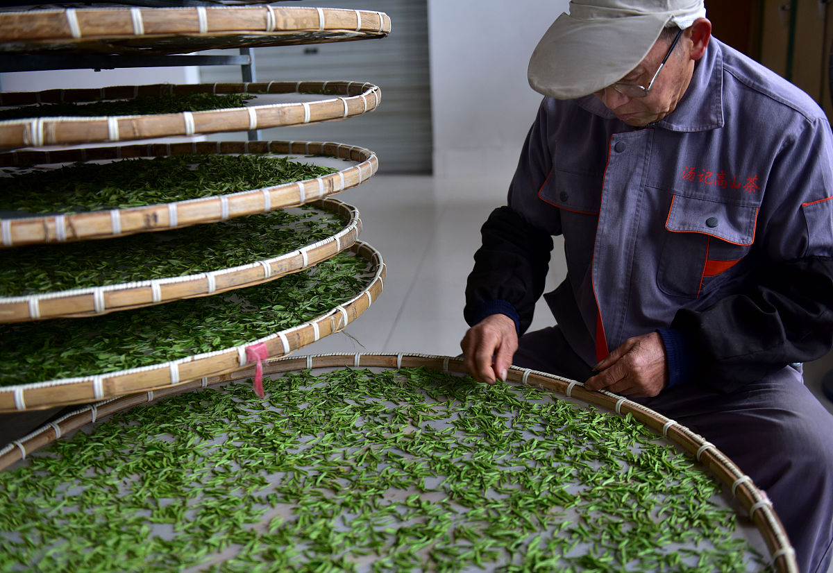 红茶制作工艺详解：从采摘到分级