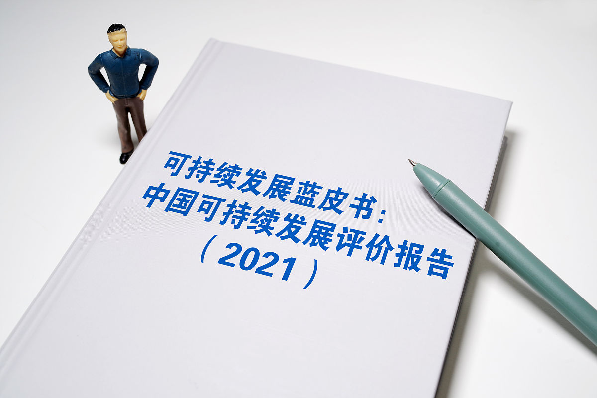 研究可行性和创新性评估指南