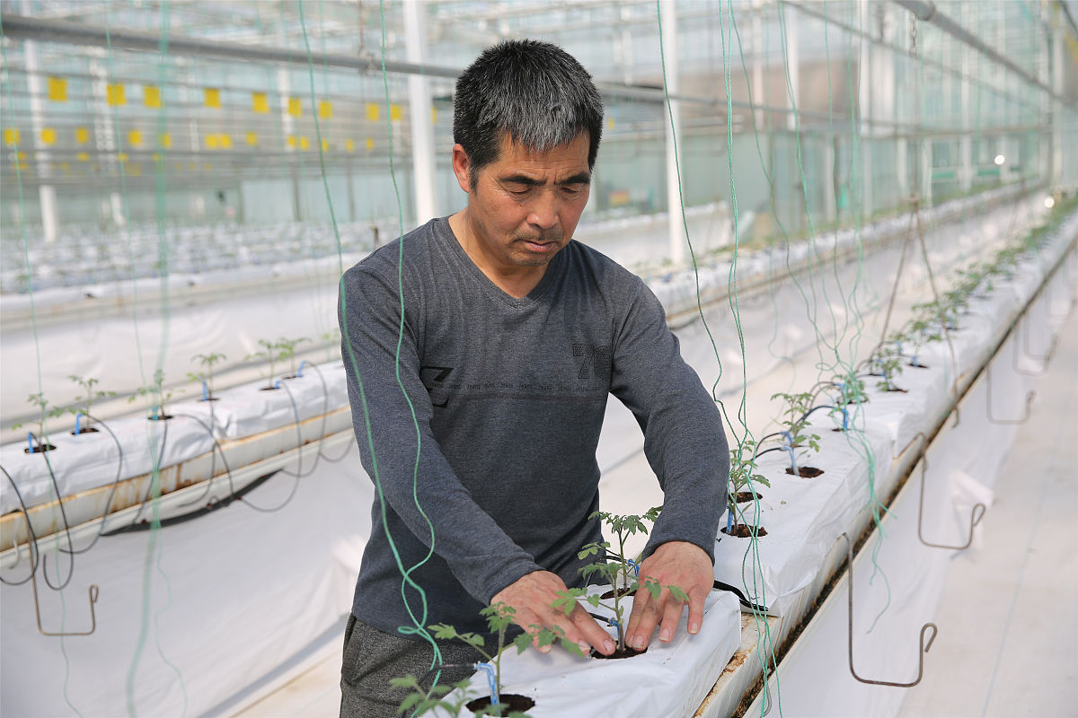 芜湖信息科技学校2022年招生简章 - 报考条件及优势专业