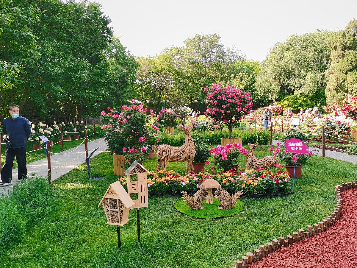 仿写13课花钟第一自然段