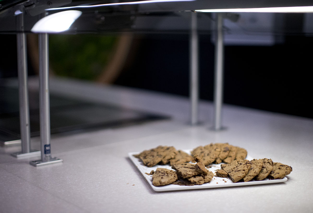 甘肃石化技师学院是什么办学层次？ - 解析与介绍