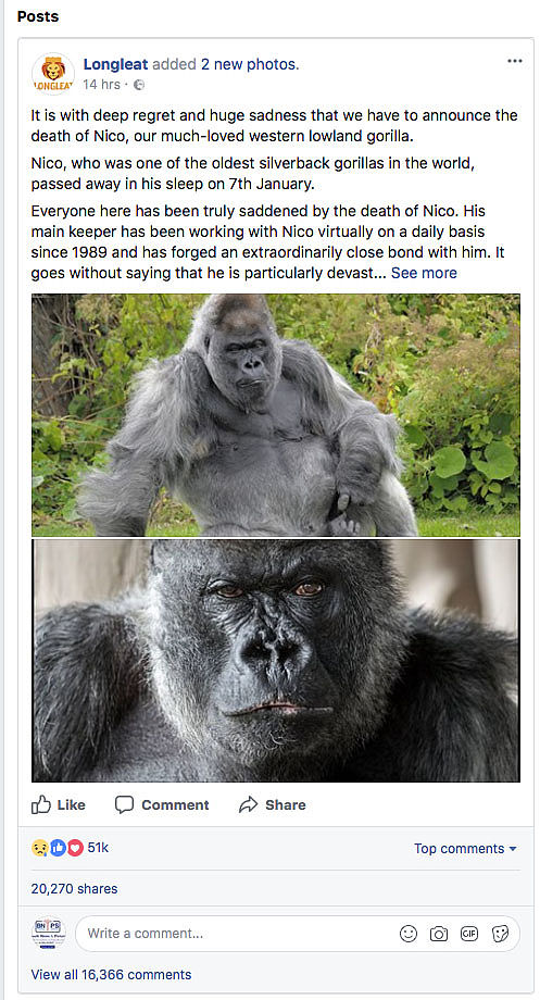 请问这个人在5年后的年龄是多少一个人说：如果我5年后的年龄乘以5再加上我六年后年龄的6倍就得到我现在年龄的12倍。请问这个人在5年后的年龄是多少