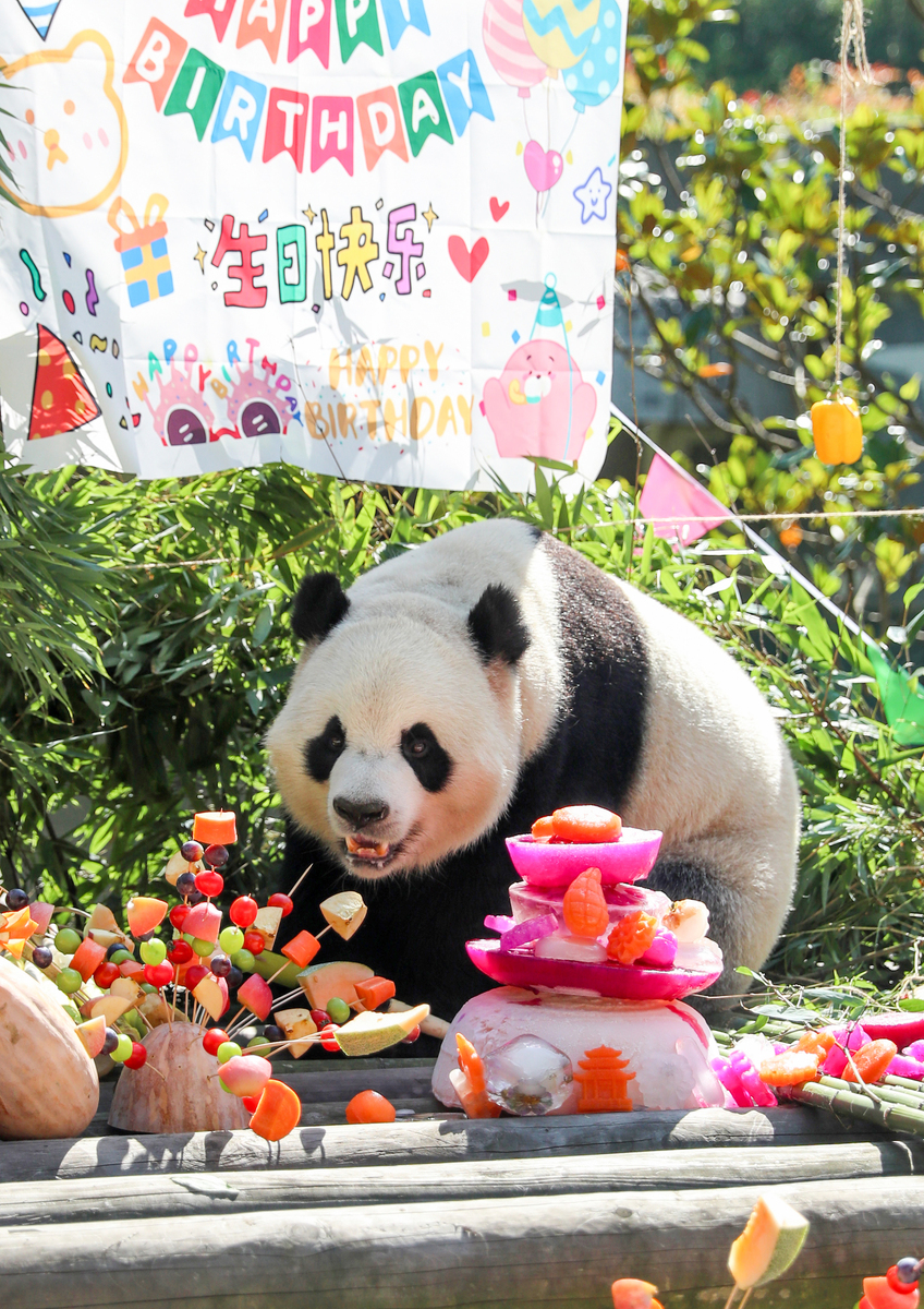 Chengdu Travel: Pandas, Cuisine, and Culture - A Must-Visit Destination