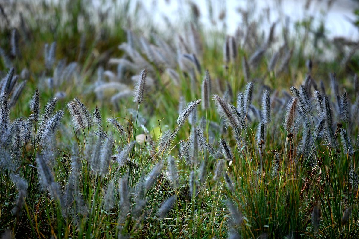 重庆铁路专业学校：未来发展趋势及人才培养