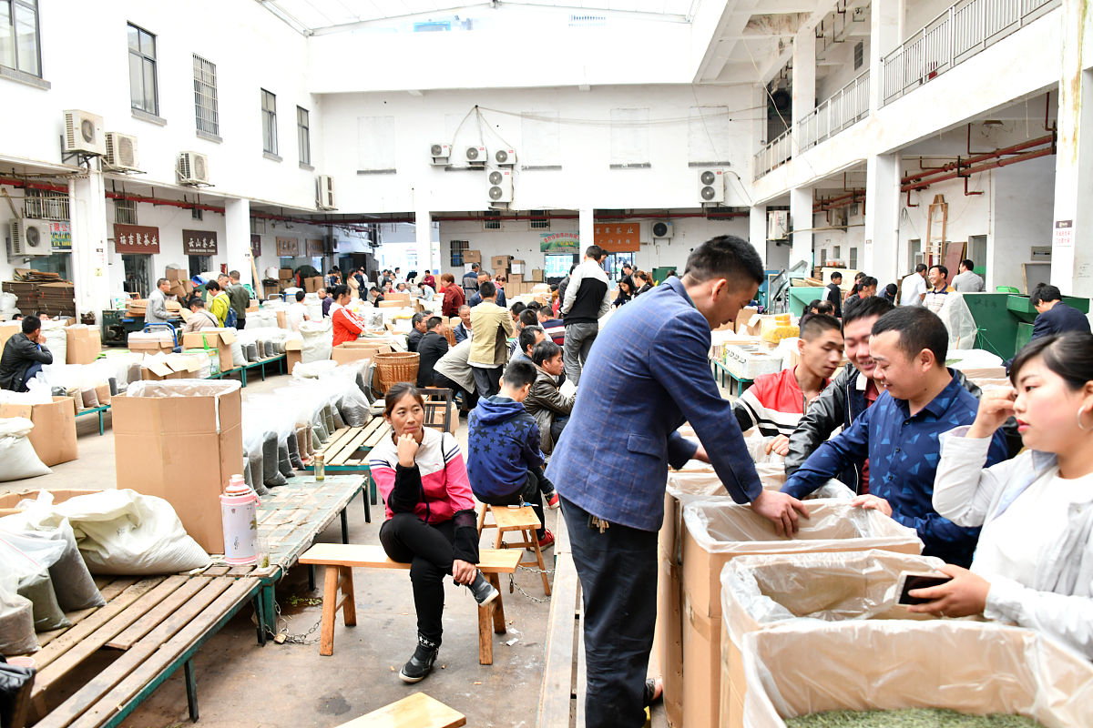 梧州市第二职业中等专业学校茶叶生产与加工专业怎么样好就业吗