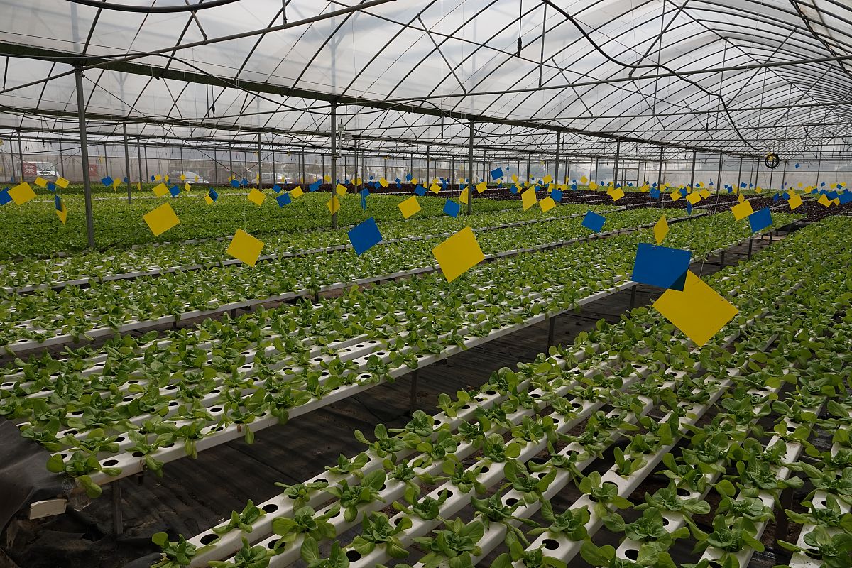 重庆市农业学校2019年招生情况 - 农业院校招生指南