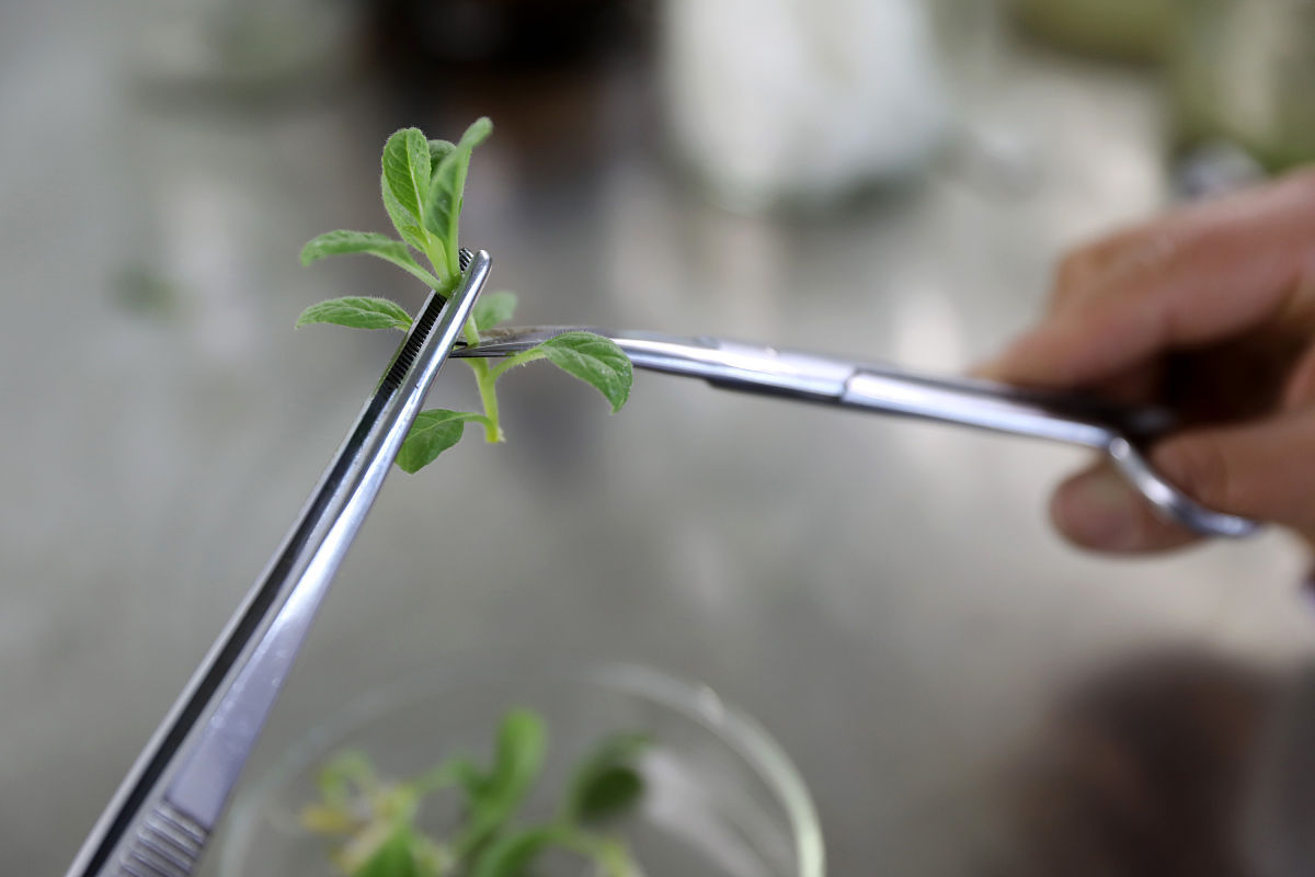 河南省卫生学校2022年招生简章怎么样