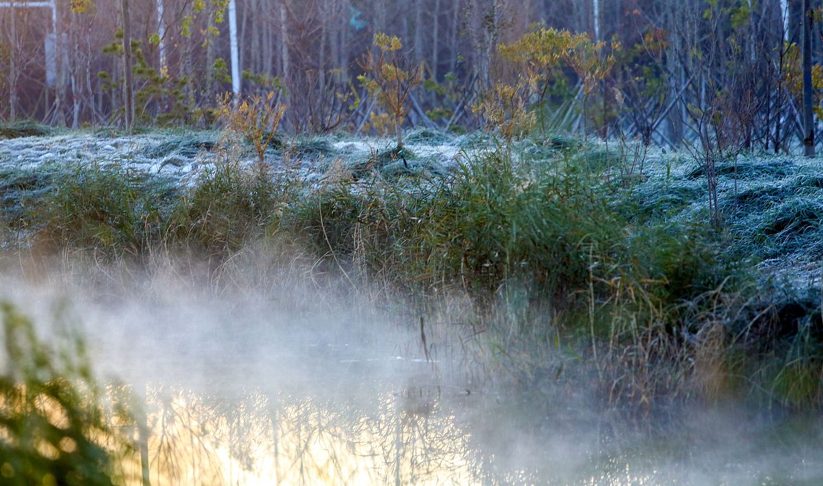 邯郸2022年中专和大专有什么区别