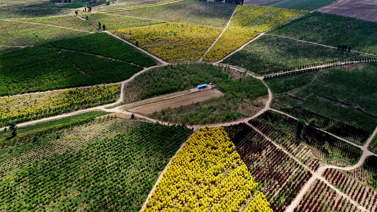 庆阳林业学校2022年招生简章-专业林业人才的摇篮