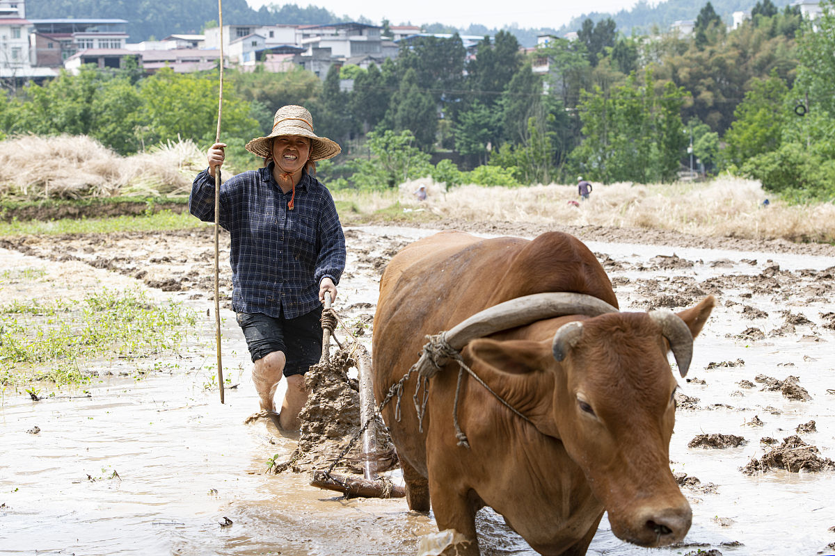 阆中江南职中2020招生简章：面向全国招收初中毕业生