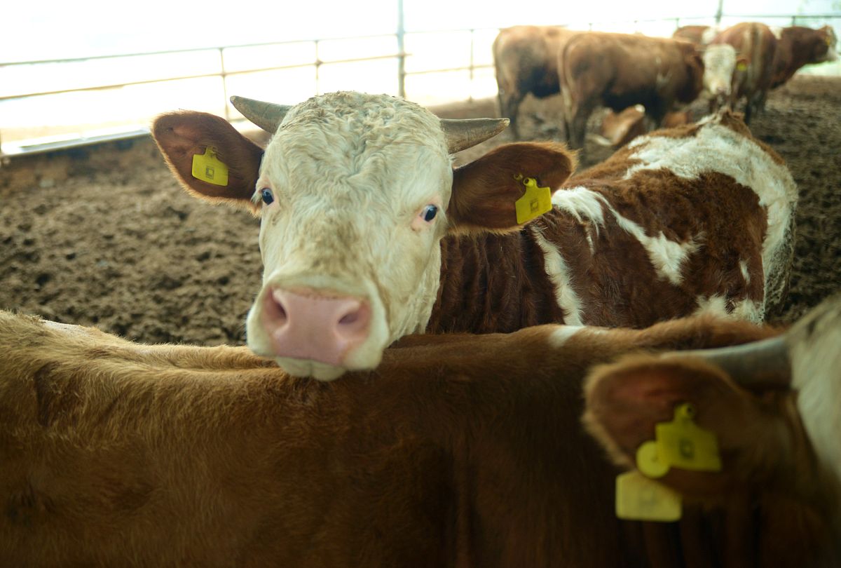 广西生态工程职业技术学院计算机系统维护专业怎么样