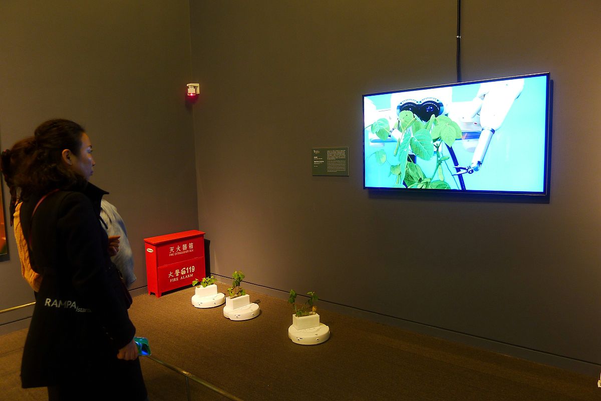 那么给我一些娱乐方面的建议