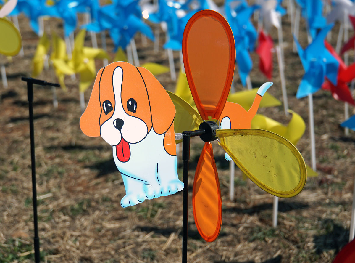 梦幻西游游戏时间设定：真实体验与独特魅力