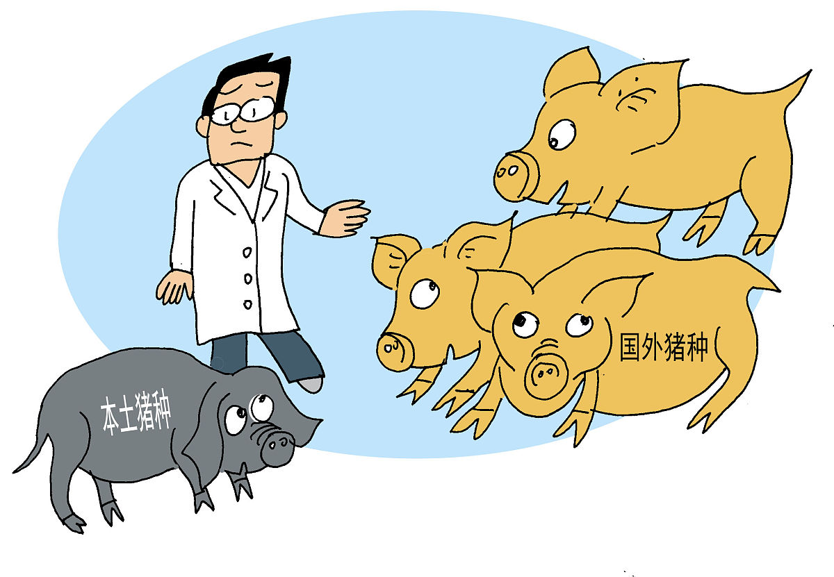 猪病毒性腹泻防控技术研究进展：综述与展望