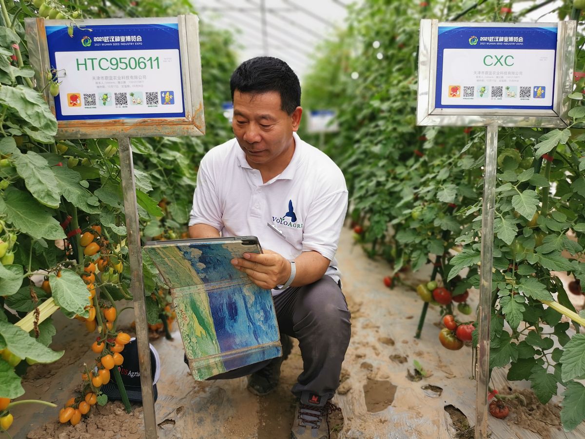 果蔬贮运病害物理防治：方法、利弊及发展趋势