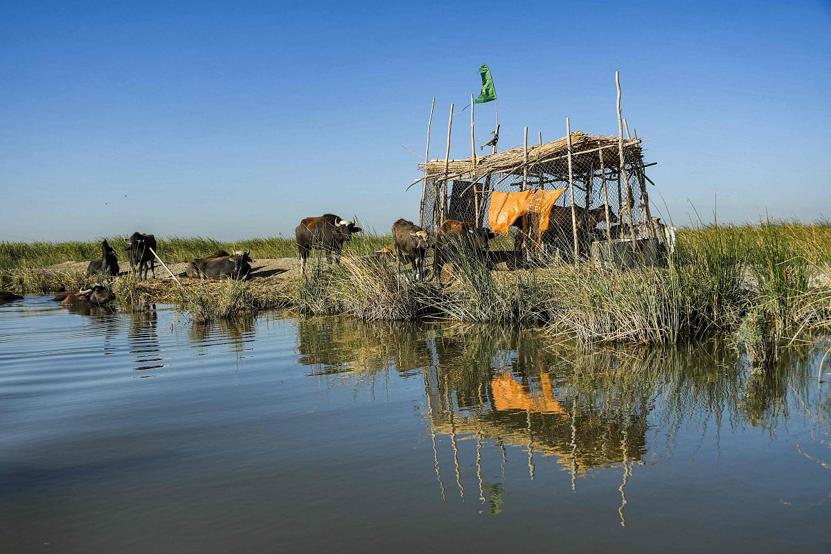 兴山今年粮补什么时间发帮我用200字详细描述