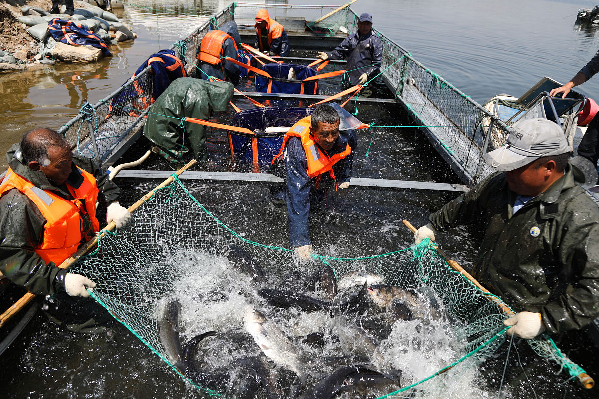 荆州水葬办理指南及相关规定