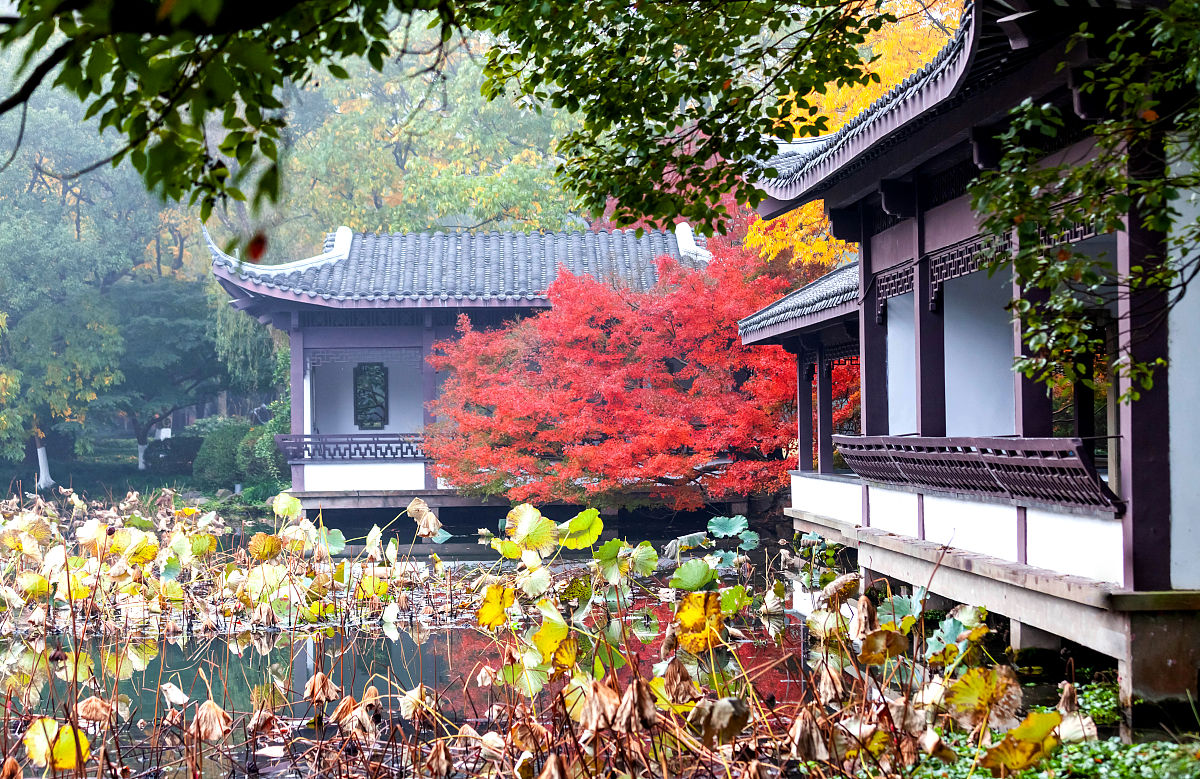 杭州的佛教文化