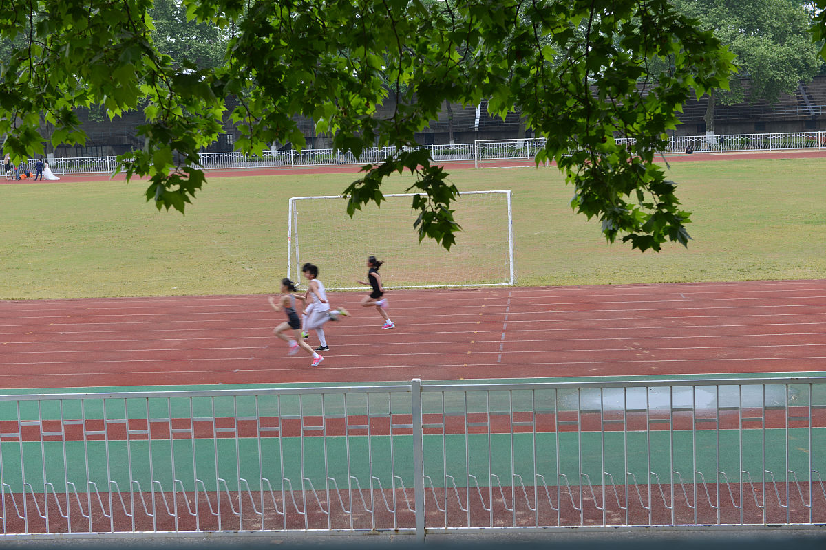 南京体育学院专业介绍：运动人体科学、运动训练等
