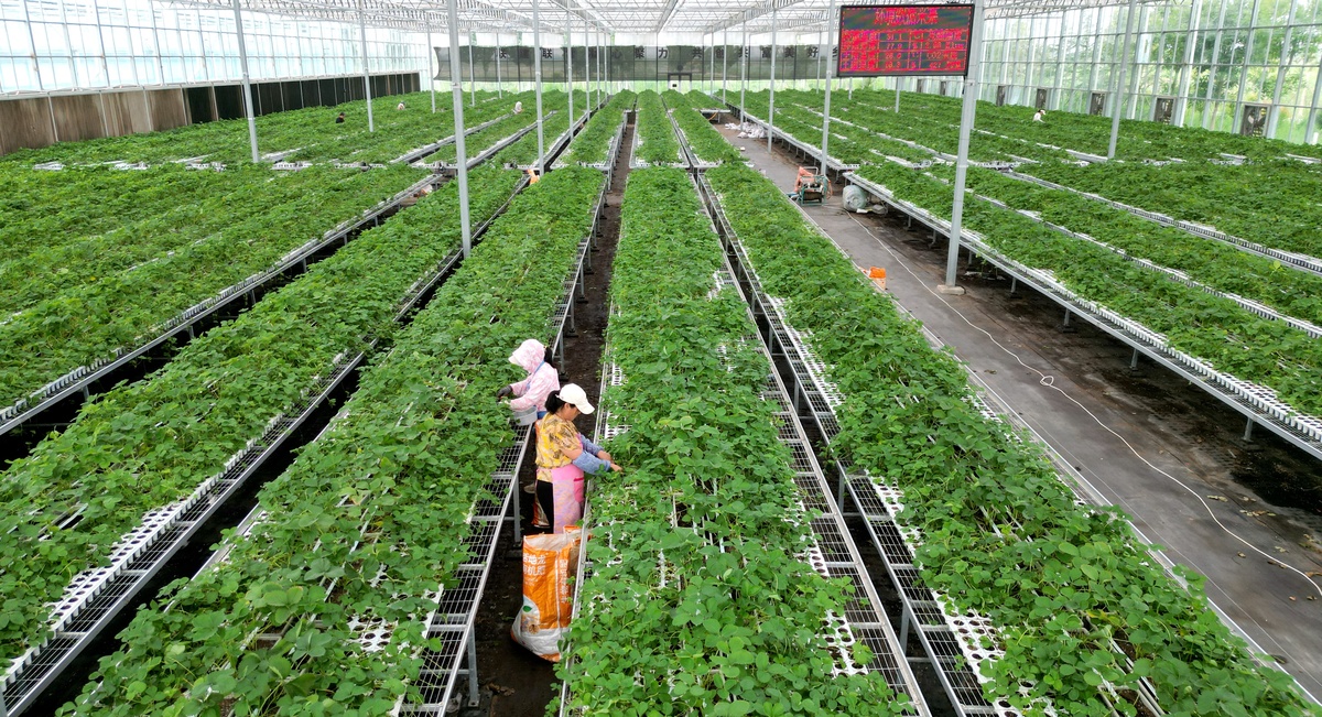 2022武汉市农业学校有什么专业