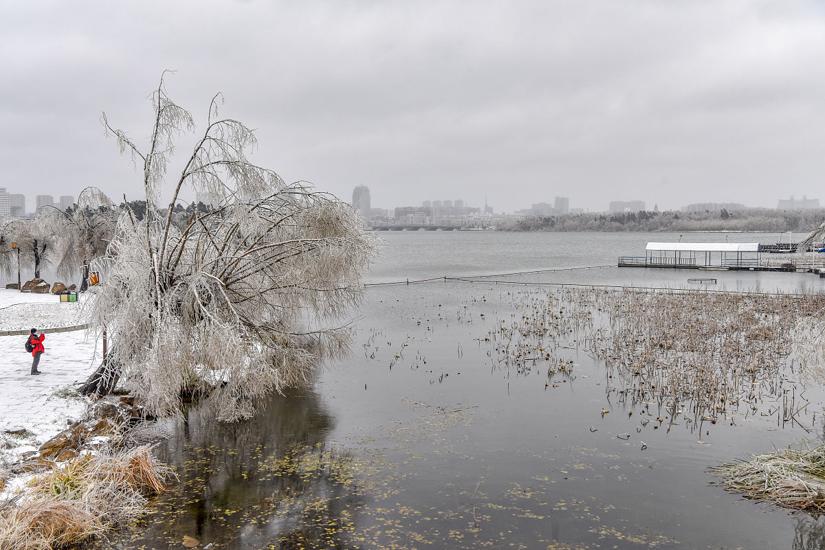 2020年11月20日,一场冻雨加大雪之后,长春整个城市变成水晶世界,南湖