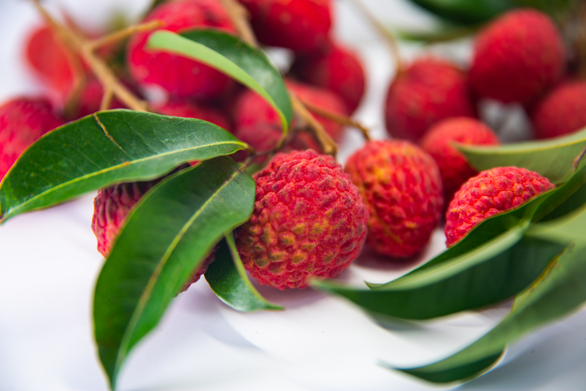 写出又是一年杨梅季下一句诗句