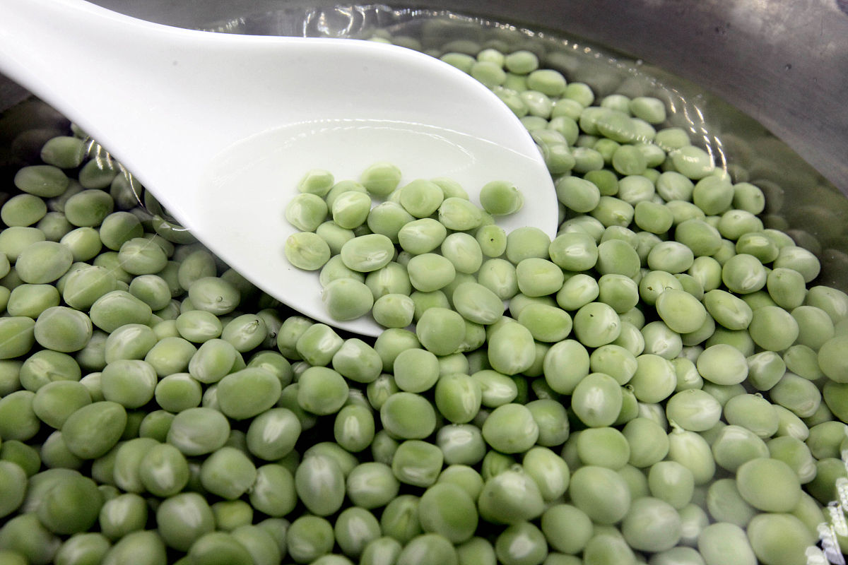 100斤干青豆泡发加多少克苏打再加少克碱