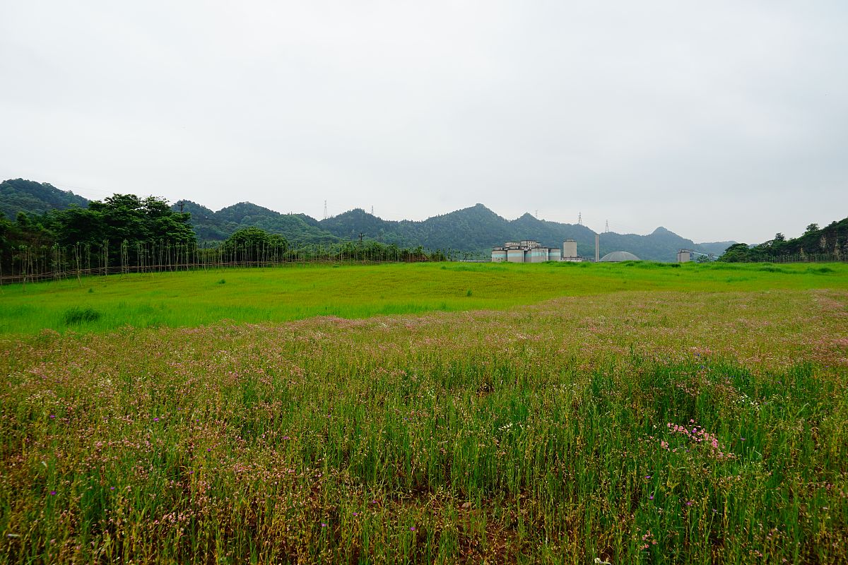 重庆卫校专业推荐：2021年报考指南