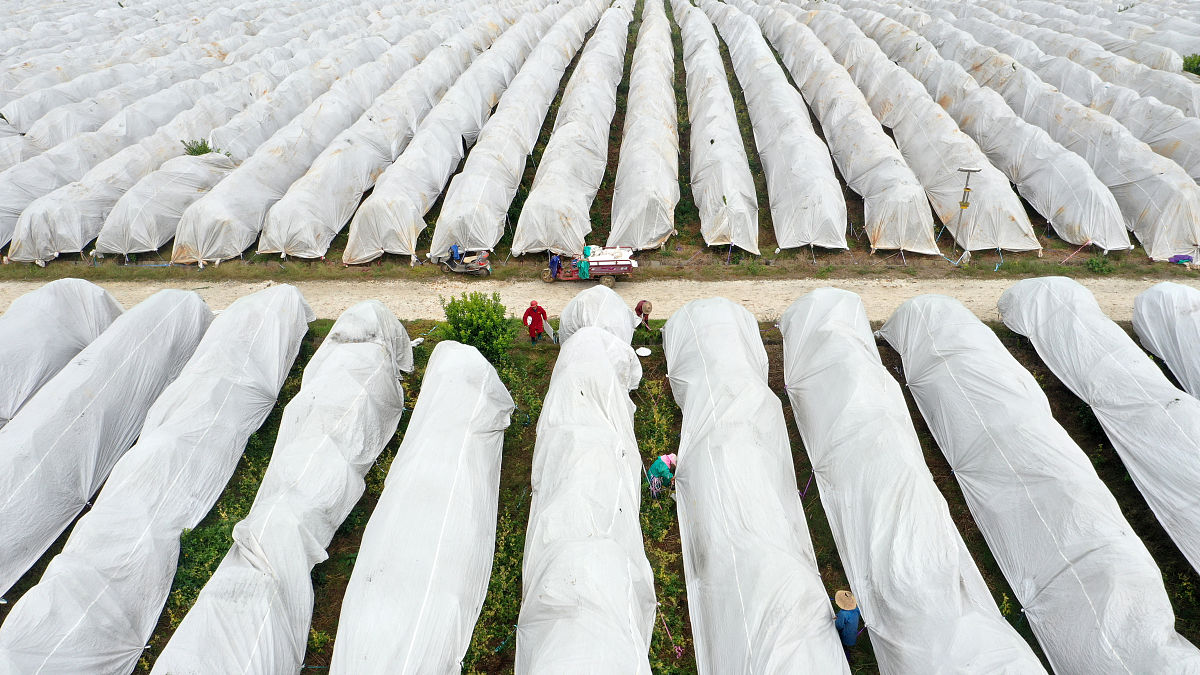 甘肃林业职业技术学院水土保持技术专业课程设置有哪些