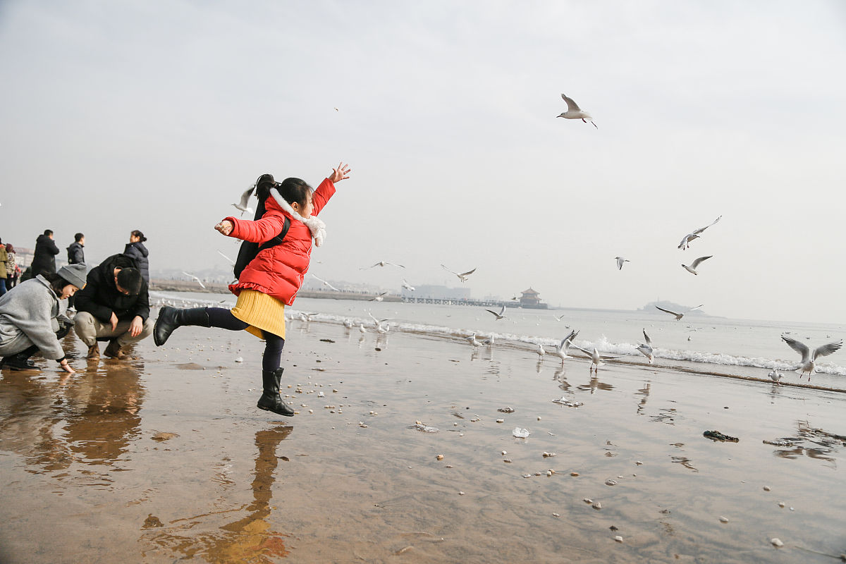 山东综合评价录取结果什么时候公布回答加拓展。