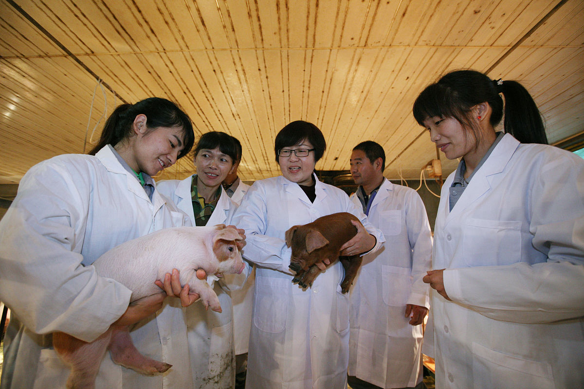 动物科学职业发展趋势