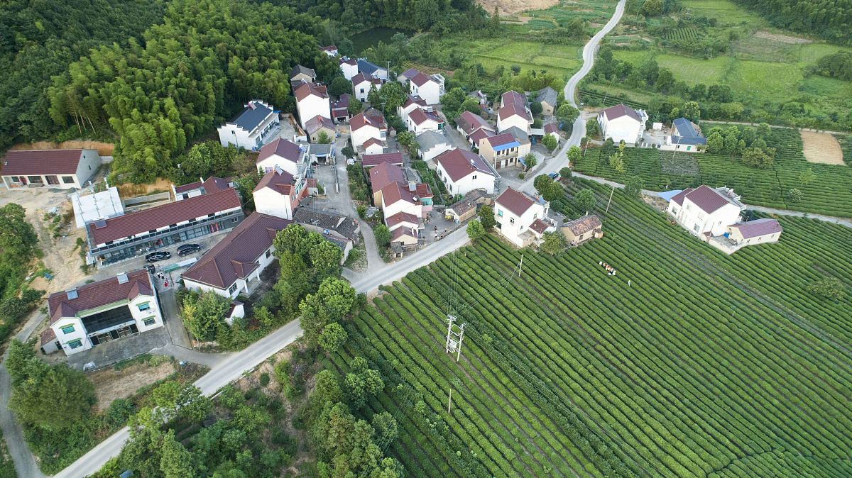 浙江乡村振兴：富裕省份的持续发展之路