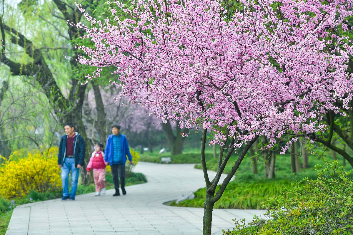 春浓花自闹人懒日闲暇。单车寻殊色一路数桃花。下联