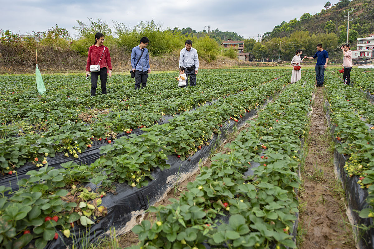 四川省宣汉昆池职业中学果蔬花卉生产技术专业介绍