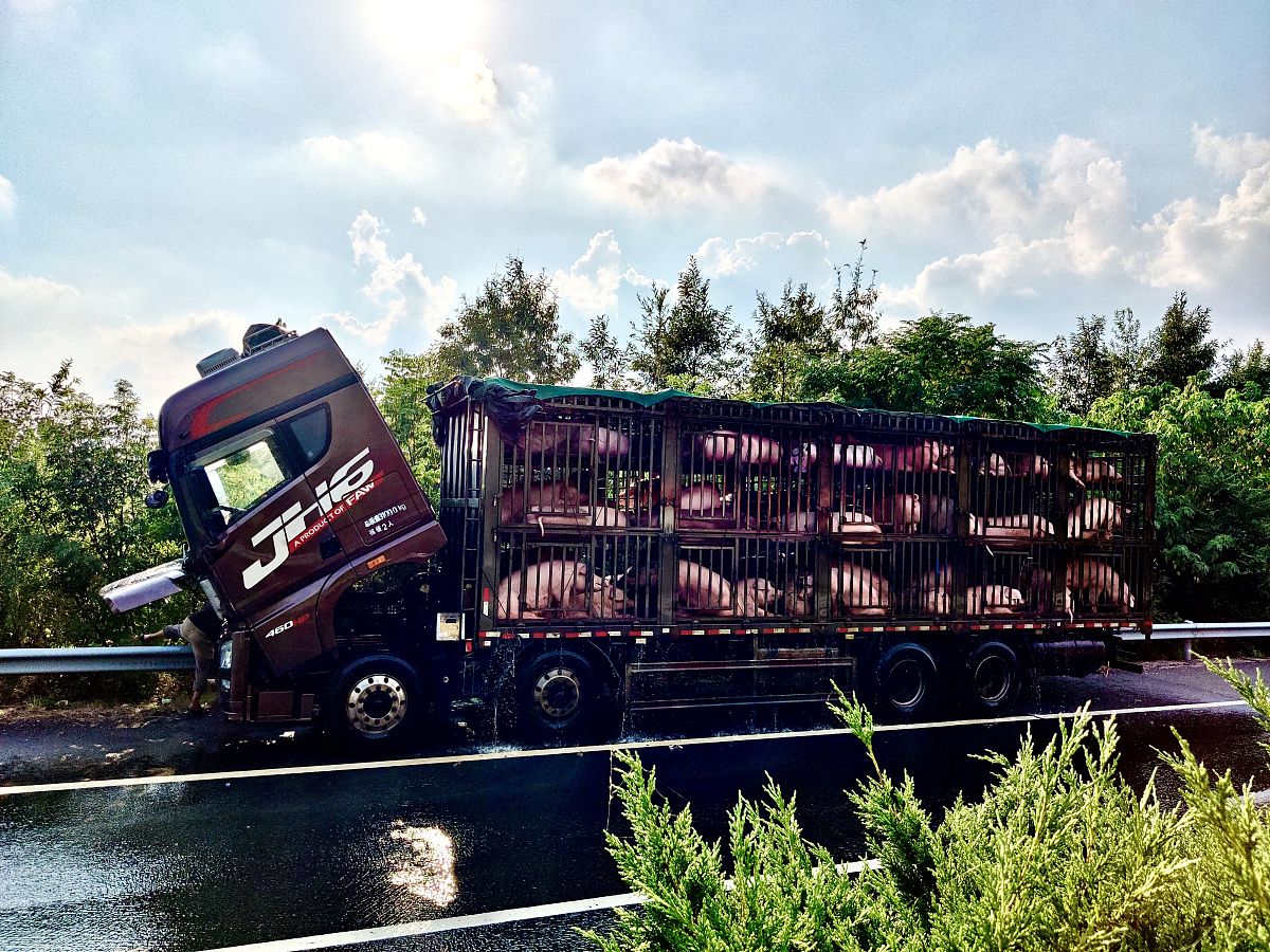 随州技师学院2023年招生简章-怎么样