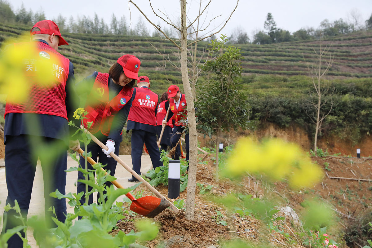 农民与农村生态环境