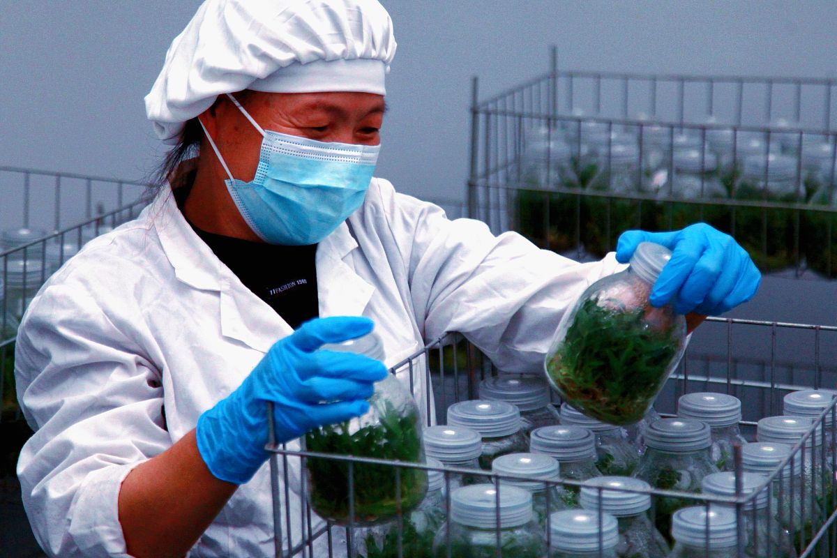 环境检测：保障环境和人类健康安全的重要工作